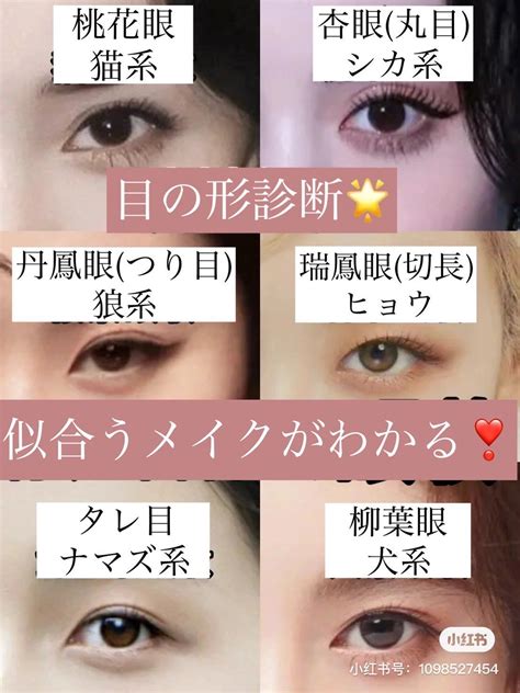 桃花眼 三白眼|桃花眼の特徴・診断方法・なり方やメイク方法